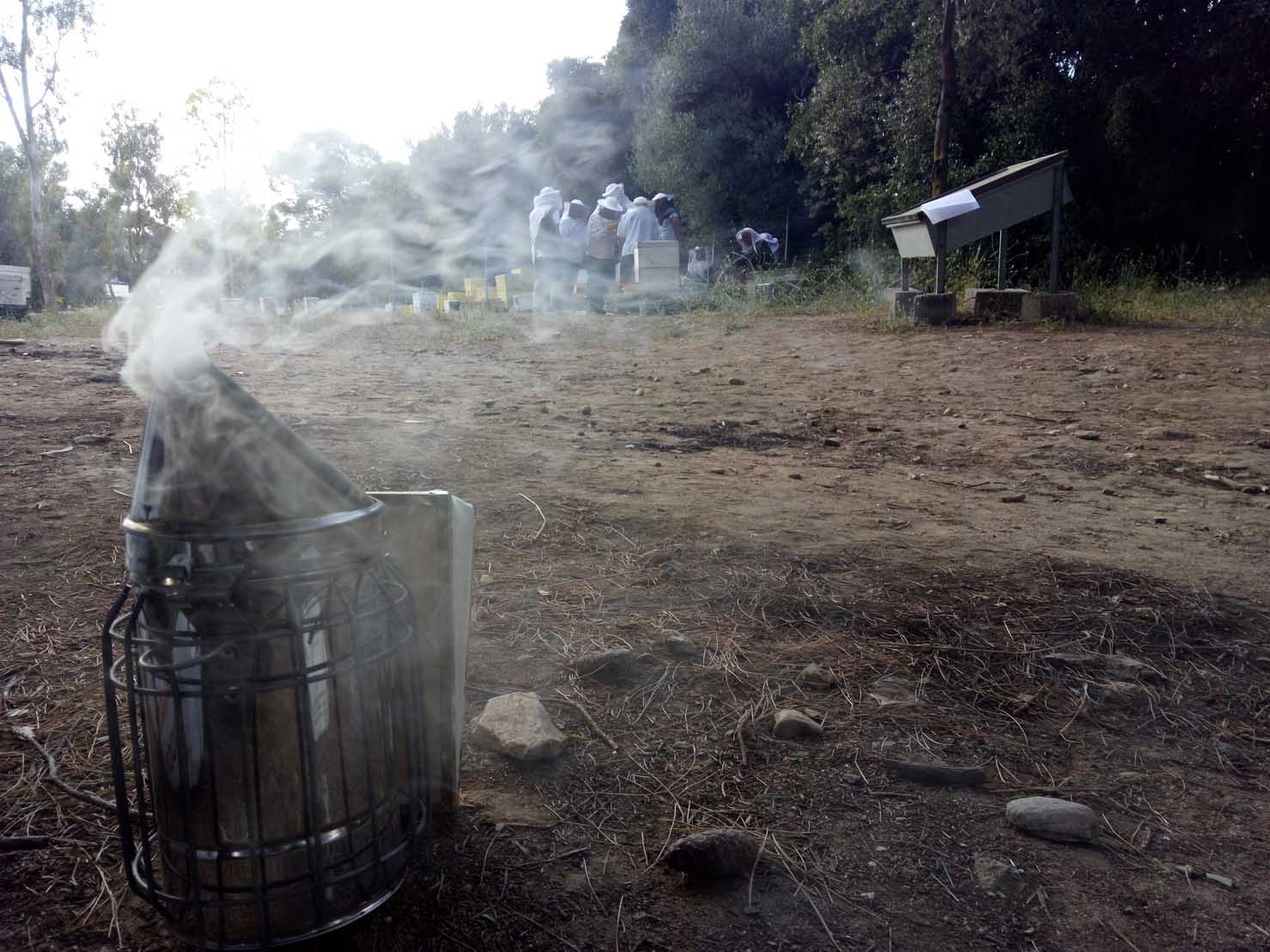 Μελισσοκομία