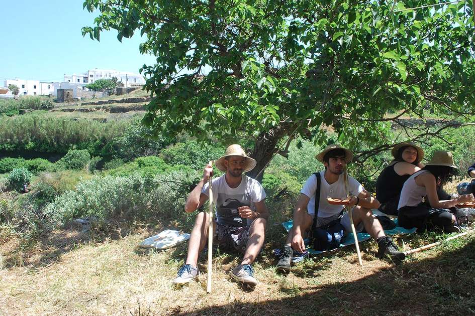 Γεωργία και Κτηνοτροφία των Κυκλάδων