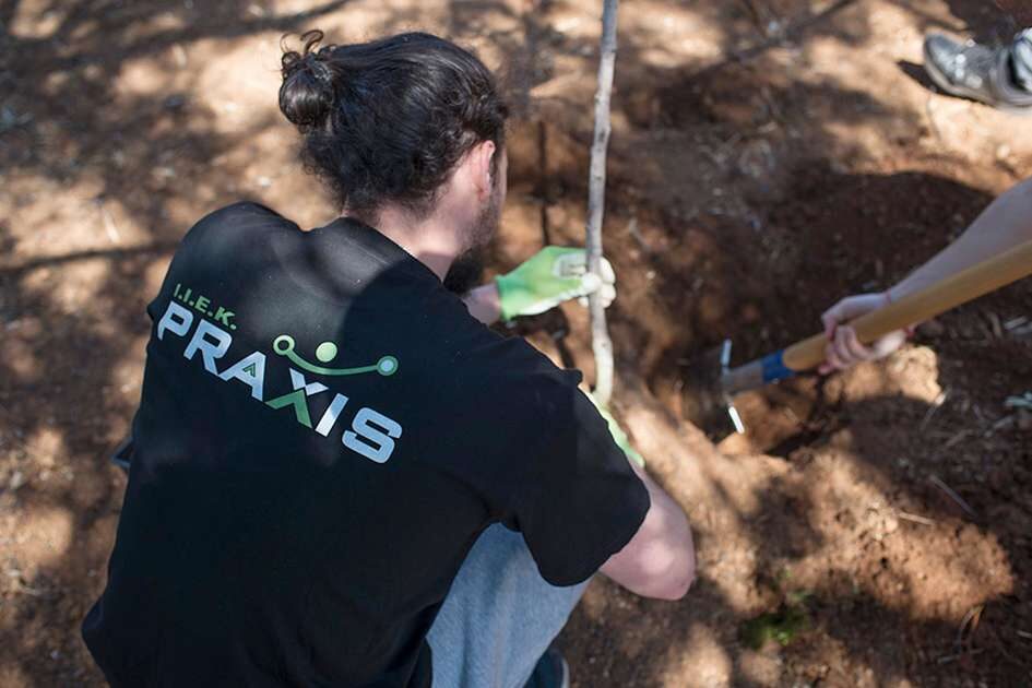 Βιολογική Δενδροκομία Φύτευση Νέου Οπωρώνα