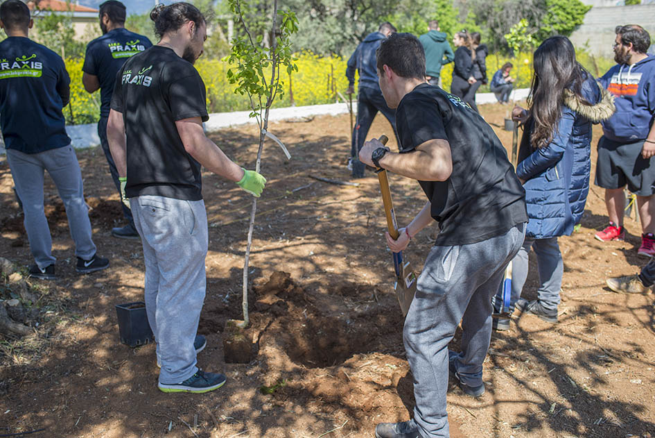 Δενδροκομία