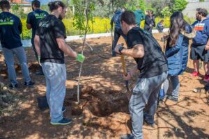 Βιολογική Δενδροκομία Φύτευση Νέου Οπωρώνα