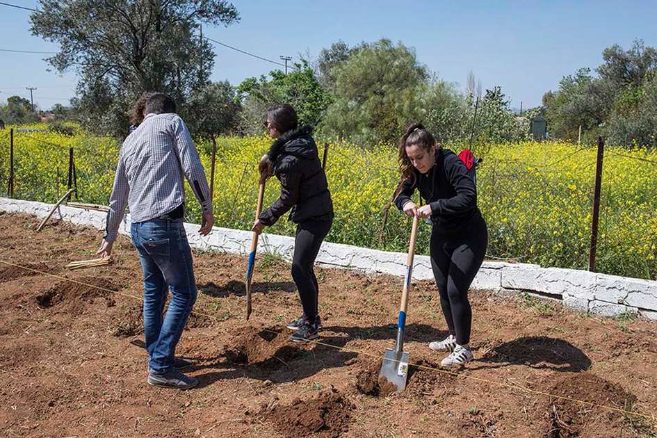 Οι σπουδαστές Αμπελουργίας φυτεύουν το νέο αμπέλι μας!