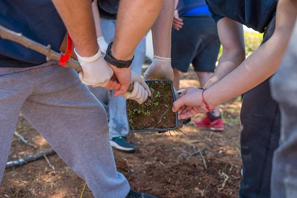 Βιολογική Δενδροκομία Φύτευση Νέου Οπωρώνα