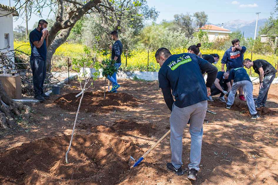 Βιολογική Δενδροκομία Φύτευση Νέου Οπωρώνα