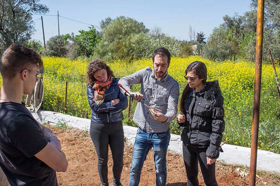 Οι σπουδαστές Αμπελουργίας φυτεύουν το νέο αμπέλι μας!