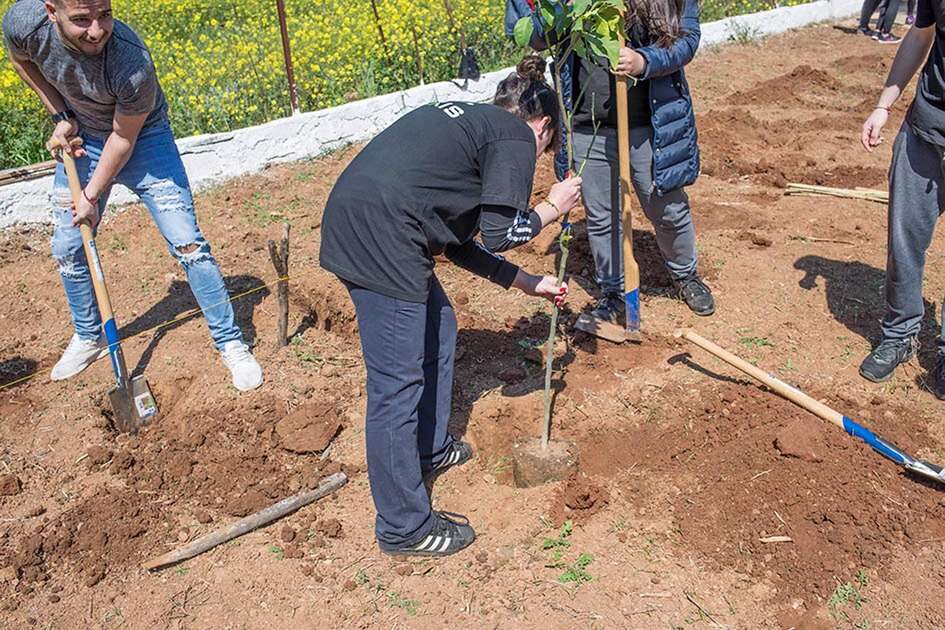 Βιολογική Δενδροκομία Φύτευση Νέου Οπωρώνα