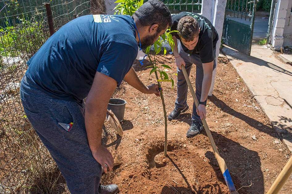 Βιολογική Δενδροκομία Φύτευση Νέου Οπωρώνα