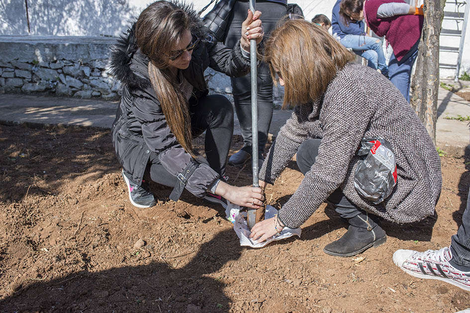 Εδαφολογικές Αναλύσεις στη πράξη!