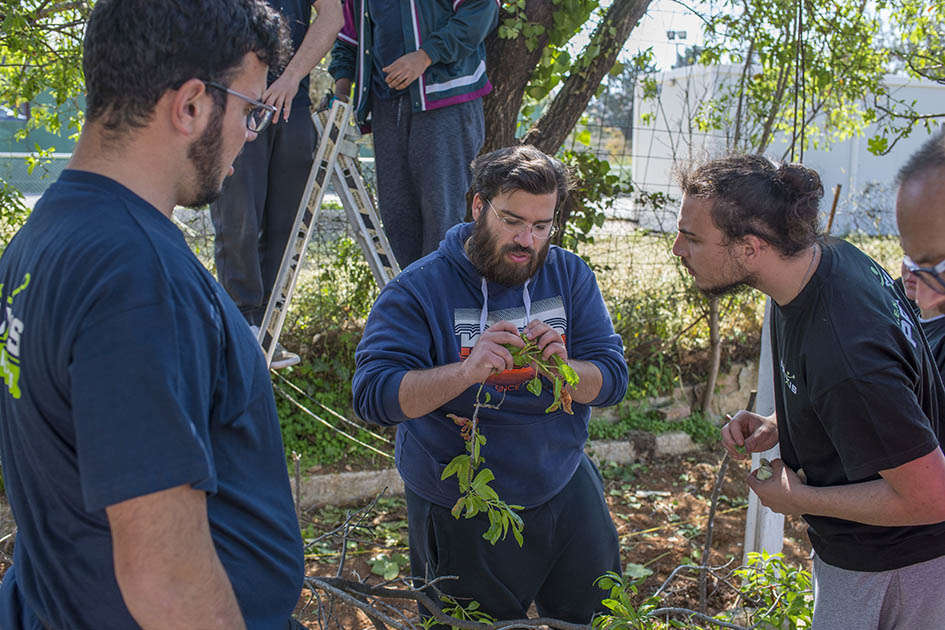 Δενδροκομία και κλάδεμα στην πράξη