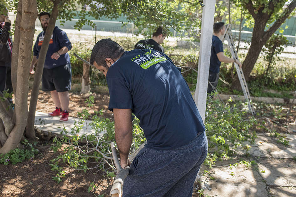 Δενδροκομία και κλάδεμα στην πράξη