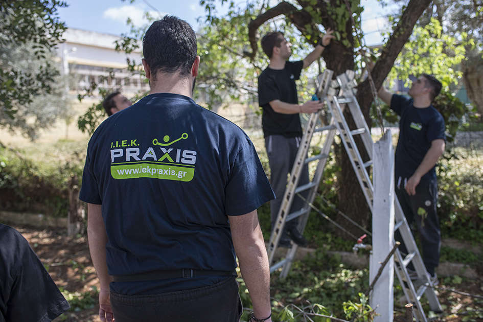 Δενδροκομία και κλάδεμα στην πράξη