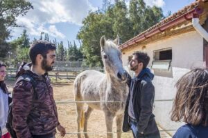 Θεραπευτική Ιππασία
