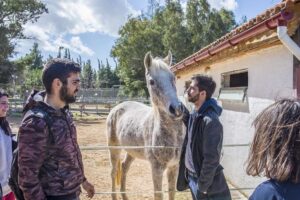 Θεραπευτική Ιππασία