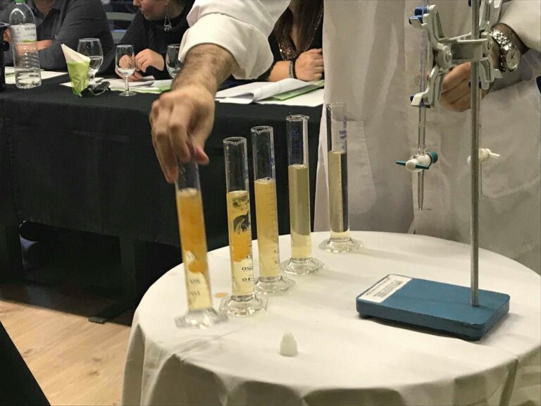 Αμπελουργία-Οινολογία-Γευσιγνωσία (Ι)