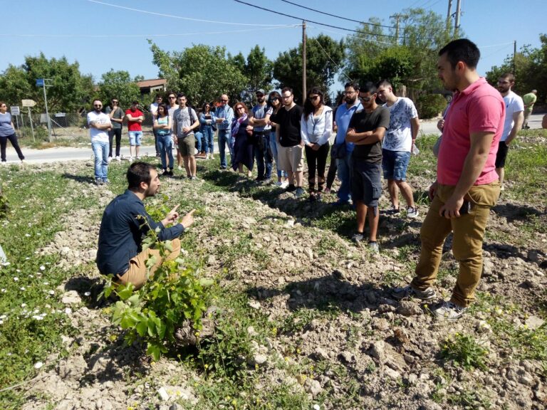 Αμπελουργία-Οινολογία-Γευσιγνωσία (Ι)