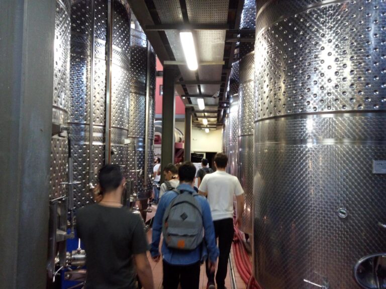 Αμπελουργία-Οινολογία-Γευσιγνωσία (Ι)