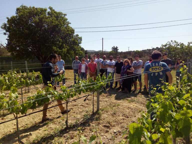 Αμπελουργία-Οινολογία-Γευσιγνωσία (Ι)