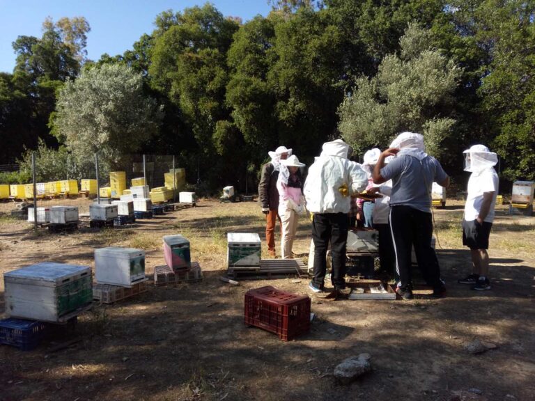 Επαγγελματική Μελισσοκομία Ι