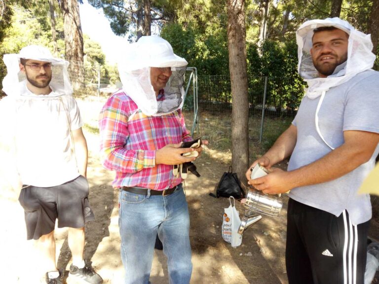 Επαγγελματική Μελισσοκομία Ι