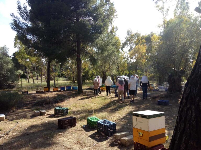 Επαγγελματική Μελισσοκομία 2 (Κύκλος Εξειδίκευσης)