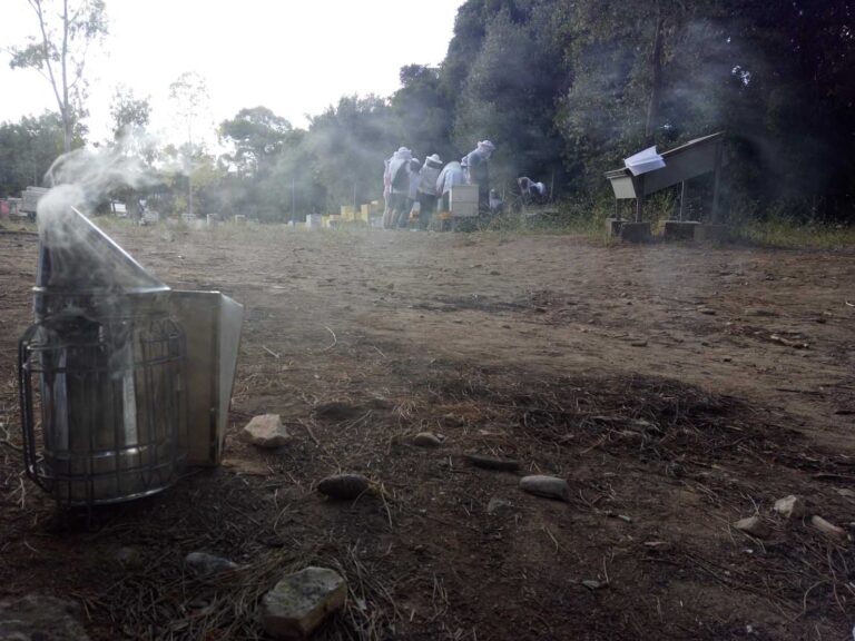 Επαγγελματική Μελισσοκομία Ι