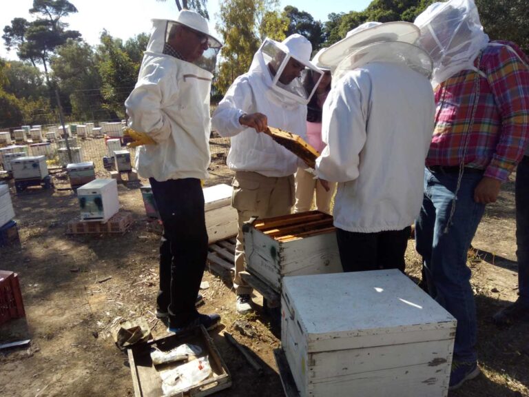 Επαγγελματική Μελισσοκομία Ι