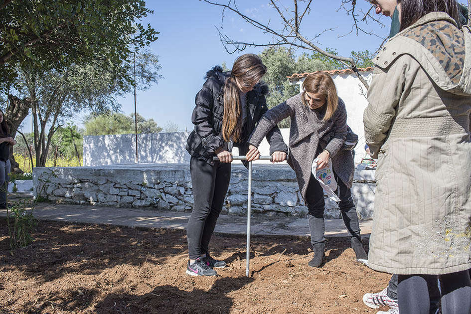 Οινολογία και Αμπελουργία ΣΤΗΝ ΠΡΑΞΗ