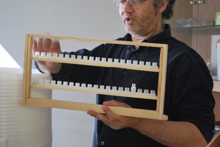 Επαγγελματική Μελισσοκομία 2 (Κύκλος Εξειδίκευσης)