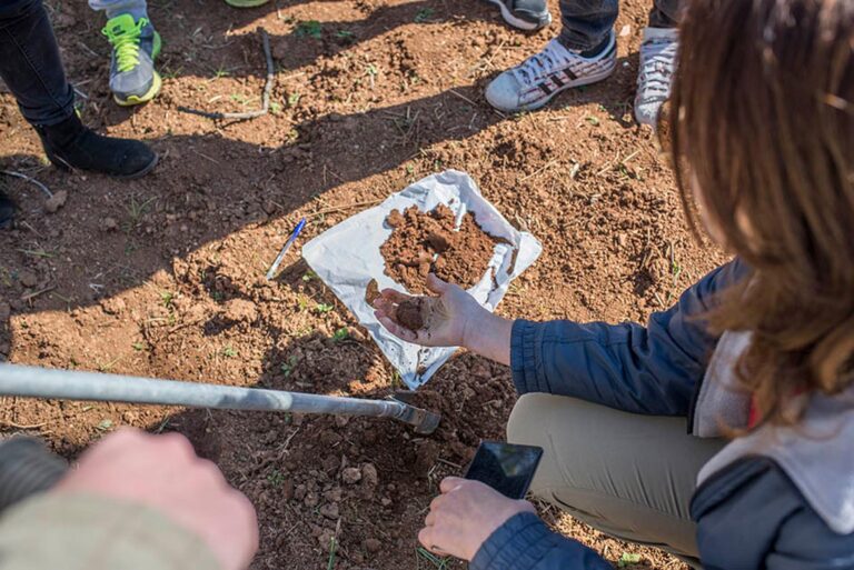 Αμπελουργία-Οινολογία-Γευσιγνωσία (Ι)
