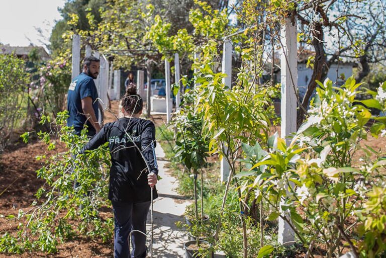 Αμπελουργία-Οινολογία-Γευσιγνωσία (Ι)