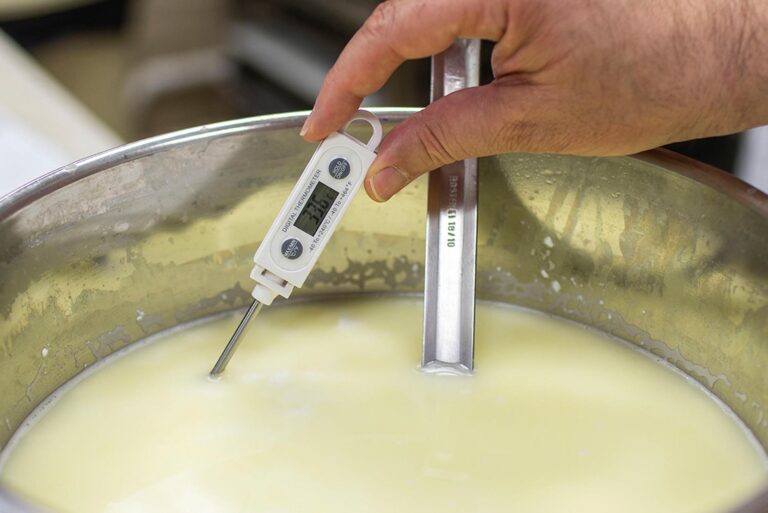 Σεμινάριο Τυροκομίας: Γραβιέρα Πρόβεια / Αγελαδινή – Μυζήθρα Νωπή