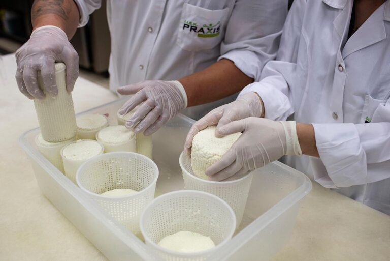 Σεμινάριο Τυροκομίας: Γραβιέρα Πρόβεια / Αγελαδινή – Μυζήθρα Νωπή