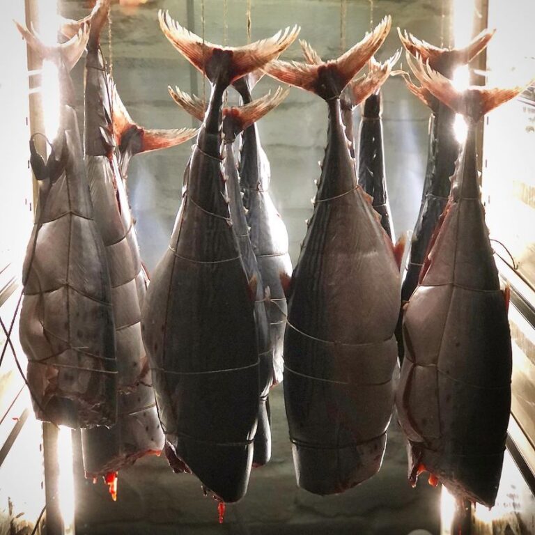 Η Ελληνική Δημιουργική Κουζίνα της ΜΑΡΑΘΙΑΣ: Ψάρια Ωρίμανσης, Αλίπαστα