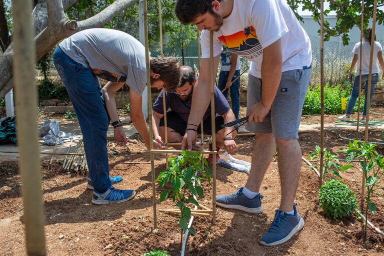 Εκπαίδευση 150 ωρών Γεωτεχνικής Κατεύθυνσης για Γεωργούς Νεαρής Ηλικίας (εξ αποστάσεως)