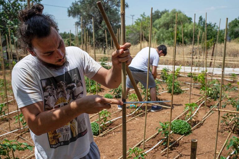 Εκπαίδευση 150 ωρών Γεωτεχνικής Κατεύθυνσης για Γεωργούς Νεαρής Ηλικίας (εξ αποστάσεως)